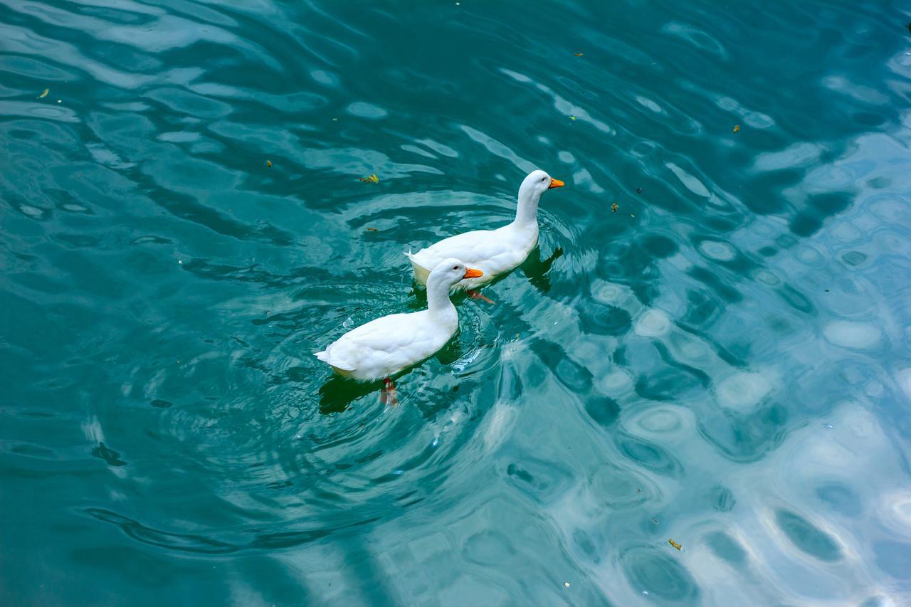 Hotel Amiran'S Lake Tbilisi Esterno foto